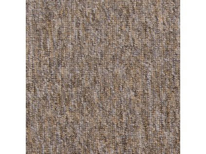 Koberec A1 COLOR 59f874ee56631
