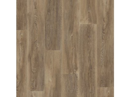 2289 Canopy Hazelnut