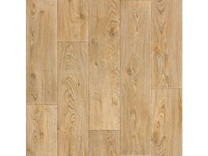PVC Evolution Raymond 2