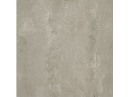 fortex grey 2089