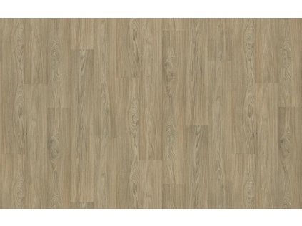 Snímek obrazovky 2026 02 19 184703