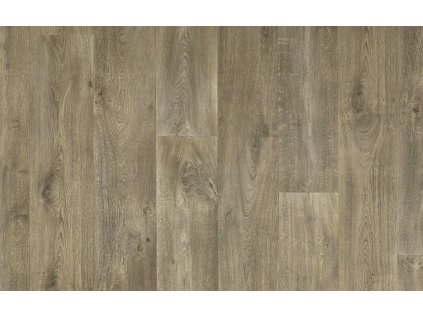 Snímek obrazovky 2026 02 20 102923