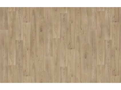 Snímek obrazovky 2026 02 20 103732