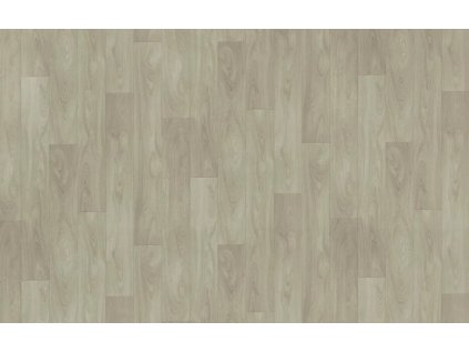 Snímek obrazovky 2026 02 20 104059