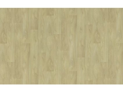 Snímek obrazovky 2026 02 20 104537