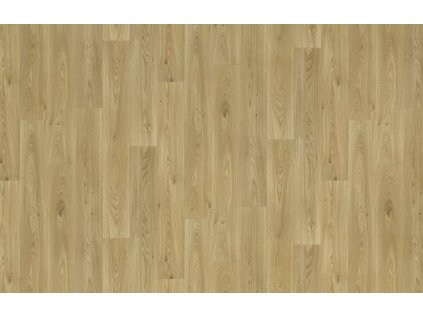 Snímek obrazovky 2026 02 20 105231