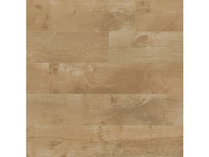 Vinyl A1 LONG LI 5d08ad3be40f7