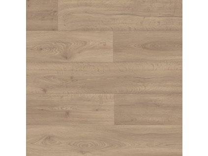 Vinyl A1 LONG LI 5e4fa3763b9b5