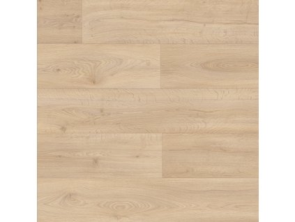 Vinyl A1 LONG LI 5e4fa480e8db7
