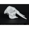 PLA Traffic White 3D Maker Noob Elephant skull