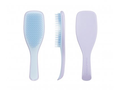 tangle teazer lilac and blue