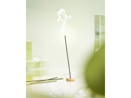 DSL Incense RGB 300DPI 4X5