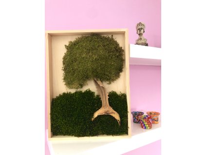 Mechový obraz s příběhem - Obyčejný strom s neobyčejným kmenem