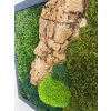Celomechový obraz - Tři druhy mechů s korkovým dřevem