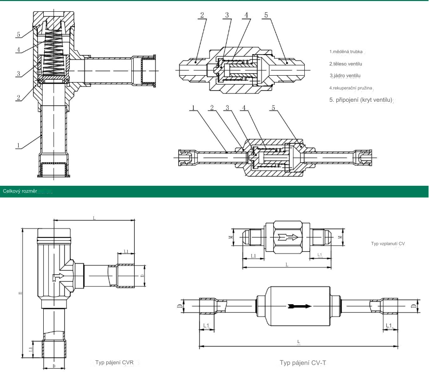 CVschema1