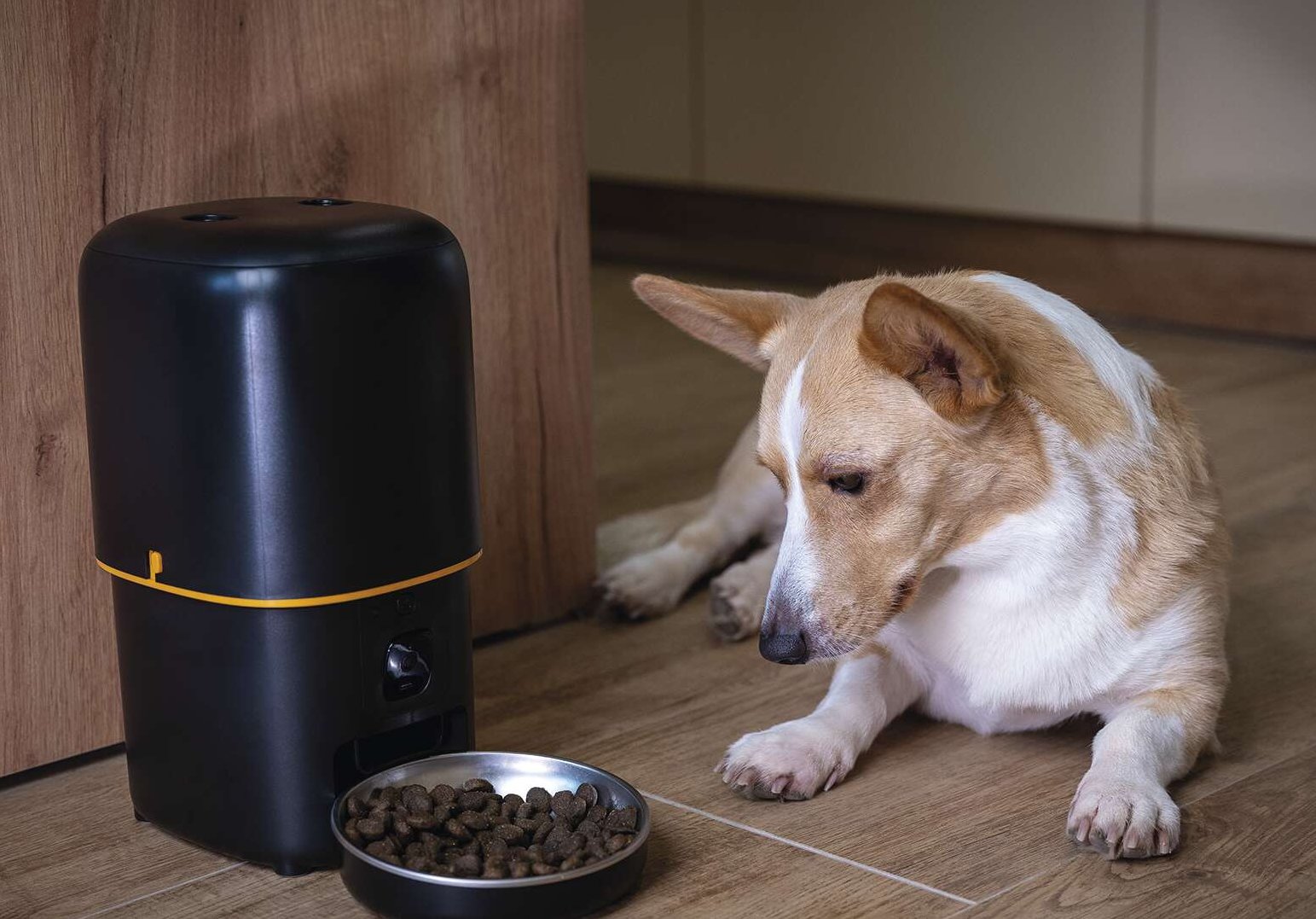 Elektronická zařízení pro domácí mazlíčky – krmítka a vodní fontány