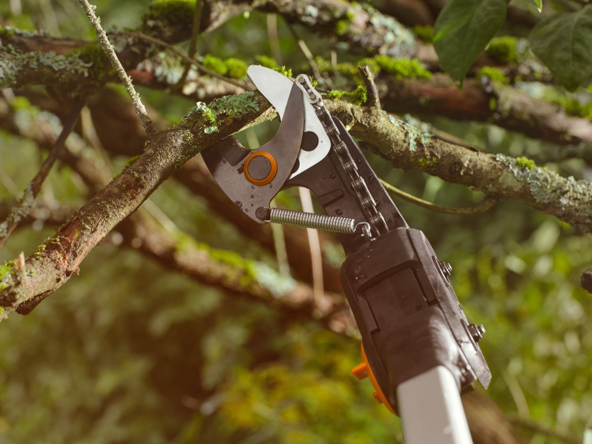 Aku teleskopické nůžky Fiskars eTree 1082340 pro stříhání stromů