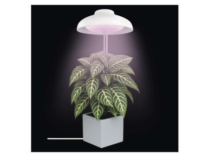 LED GROW pěstební lampa 5 W, časovač, bílá