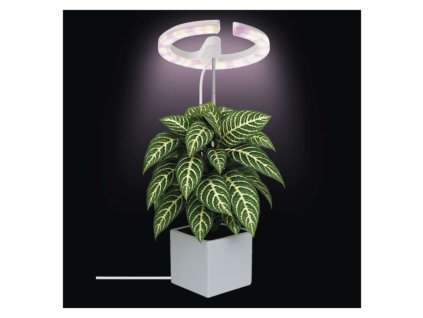 LED GROW pěstební lampa 8 W, časovač, stmívatelná, bílá