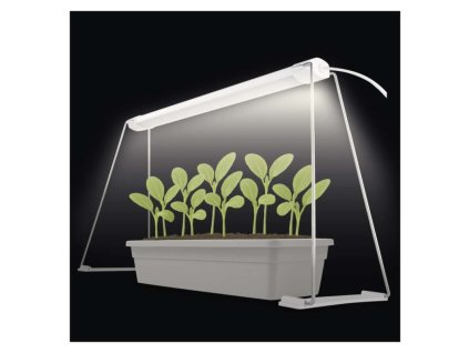 LED GROW pěstební lampa na sazenice 15 W, časovač, bílá