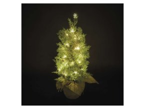 LED svítící stromek, 50 cm, venkovní i vnitřní, teplá bílá, časovač