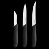 1065584 Essential vegetable knife set 3pcs