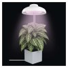 LED GROW pěstební lampa 5 W, časovač, bílá