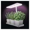 LED GROW pěstební lampa 7 W, časovač, stmívatelná, bílá