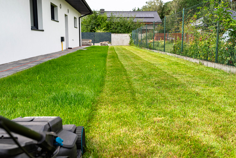 Jarný reštart trávnika: 5 krokov k dokonale zelenému kobercu, kedy vertikutovať trávnik a aká je správna oprava trávnika po zime