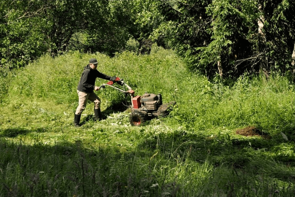 bubnova-kosacka-dakr-panter