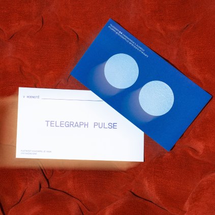 voucher TELEGRAPH pulse.jpg