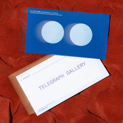 voucher TELEGRAPH gallery.jpg