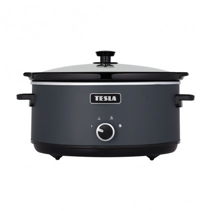 tesla slowcook s500