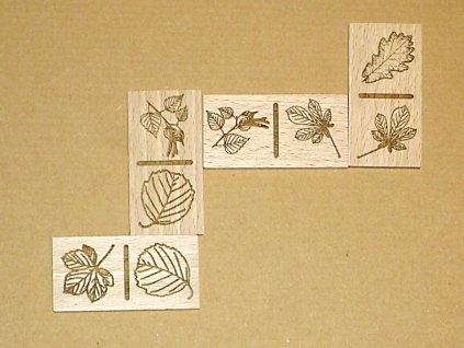 Domino – LISTY našich dřevin (28 herních kamenů)