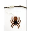 Pavouk (11 cm) - dřevěný výřez