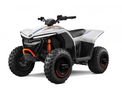 cfmoto gladiator EV 110