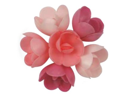 růžové růže střední