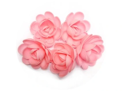 Francie RG02 růžové1