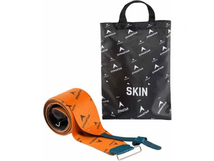DKJW101 SKIN MYTHIC 99