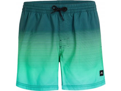 oneill jack o neill cali gradient 15 swim shorts 5