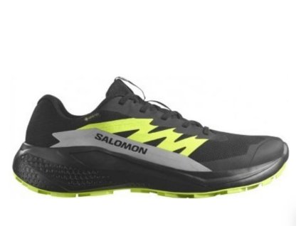 Screenshot 2025 03 14 at 09 34 33 Salomon Alphaglide Gtx pánské nepromokavé běžecké trailové 478020 black alloy od 2 389 Kč Heureka.cz