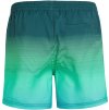 oneill jack o neill cali gradient 15 swim shorts 4