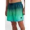 oneill jack o neill cali gradient 15 swim shorts 1