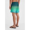 oneill jack o neill cali gradient 15 swim shorts 2