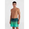 oneill jack o neill cali gradient 15 swim shorts 0
