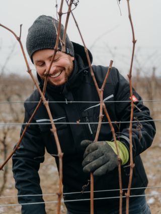 Zimní sestřih done🥳✂️💪🏻 Fotodokumentace našeho vinařského roku pro měsíc LEDEN/ÚNOR ❄️ 📸: @magdablaha