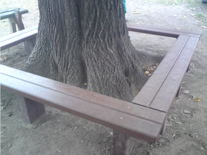 sedenie okolo stromu (7)