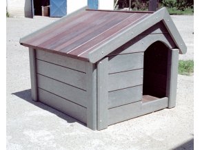pesbuda3010304