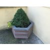 03 c. Flower pot hexagonal, simple