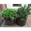 03 d. Flower pot round, massive
